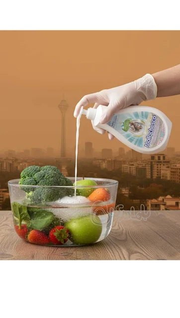 مالوچسکا mallochesca